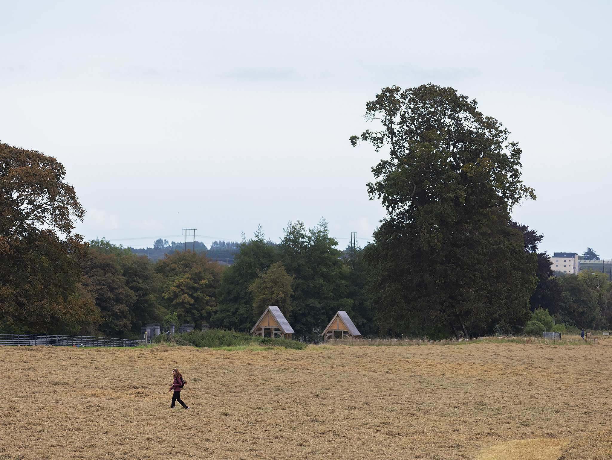 battle of the boyne gameplay evaluation