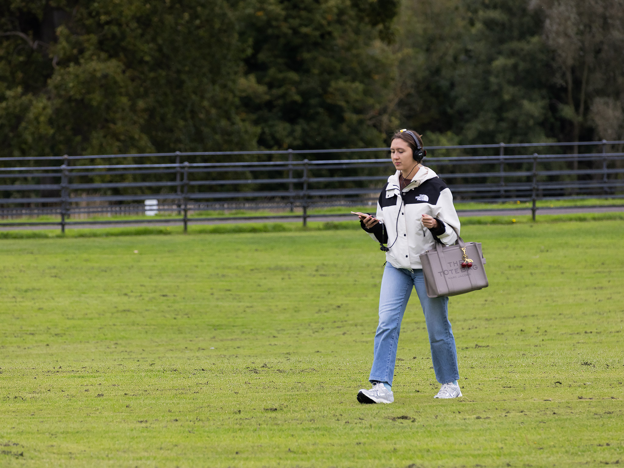 Locative game participants exploring the Battle of the Boyne
